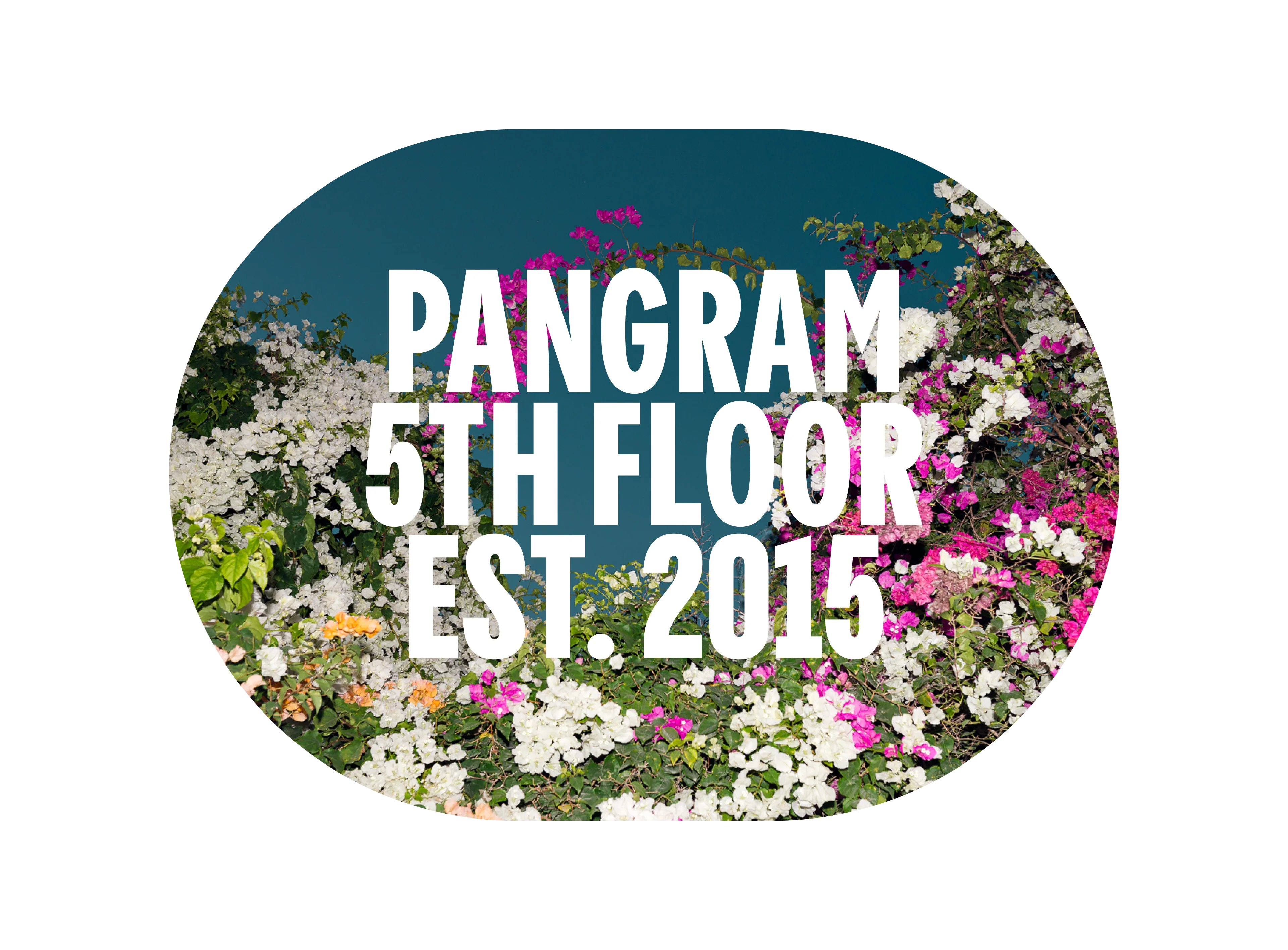 Pangram Sans Slim - Image 11