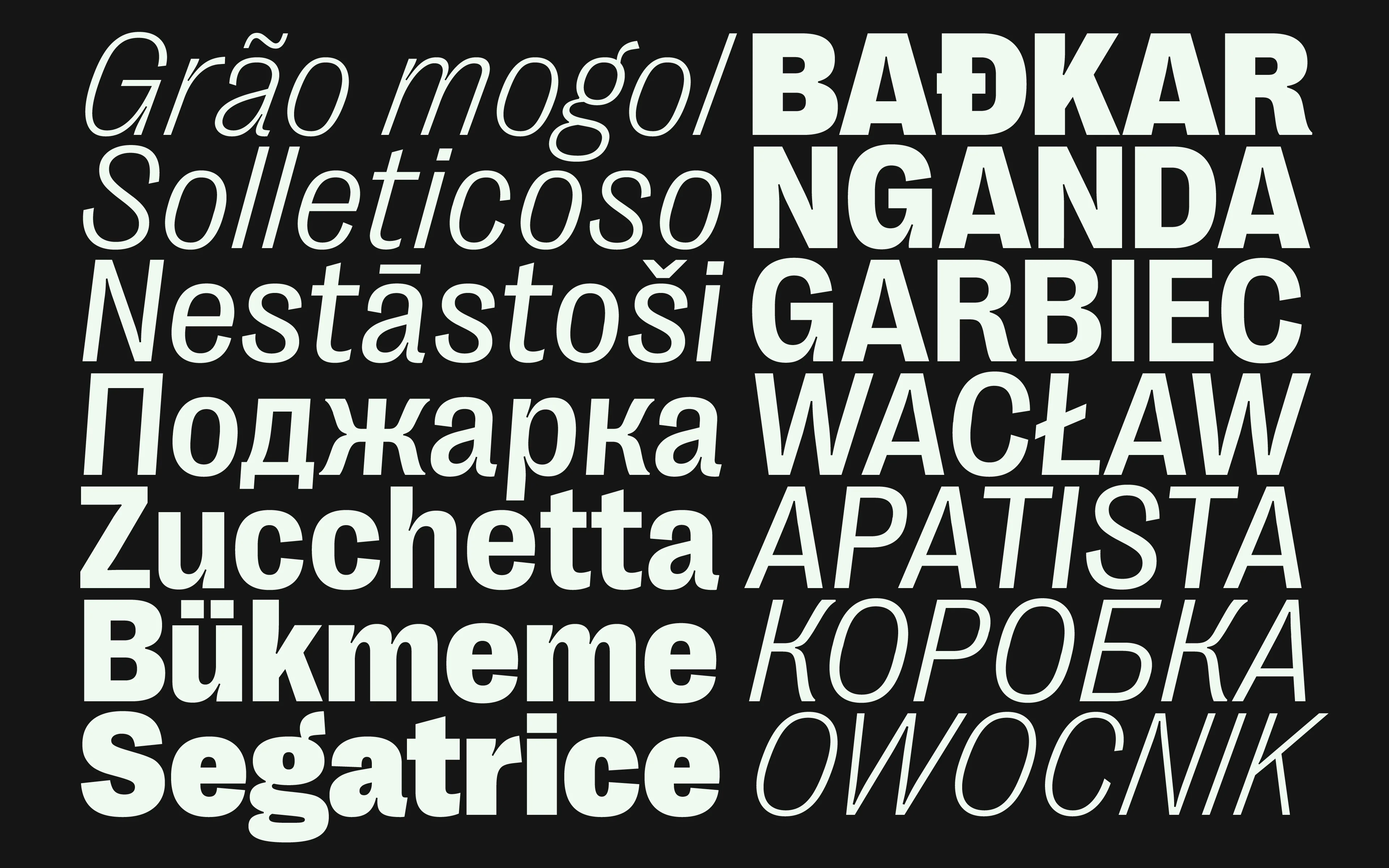 Right Grotesk Casual - Image 4